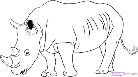 Rhino Coloring Page At Free Printable Colorings