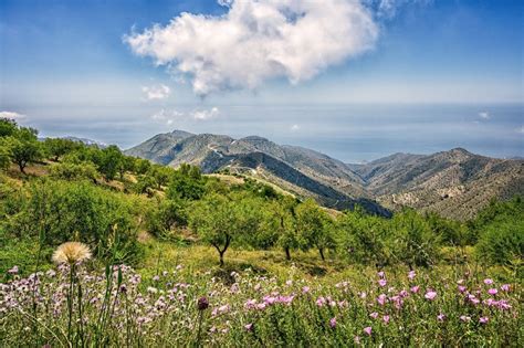 Majority Of Spanish Tourists Choose Andalucia For Rural Trips Inspain