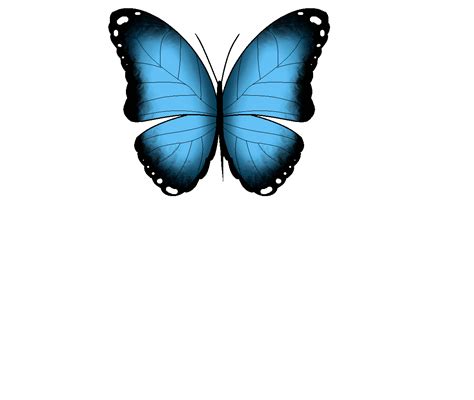 Бабочки Картинки Гиф Telegraph