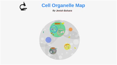 Cell Organelle Map By Jenish B