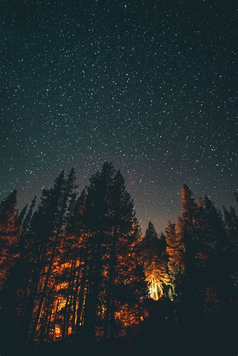 Into The Woods Under A Sky Full Of Stars Nature Photos Sky Aesthetic