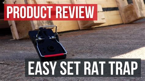 Easy Set Rat Trap How To Trap Rats Youtube
