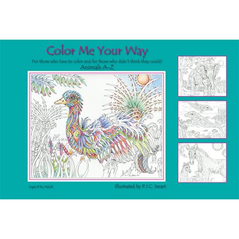 Color Me Color Me Your Way Volume 1 Series 1 Other