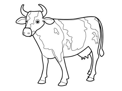 Free Printable Cow Coloring Pages For Kids