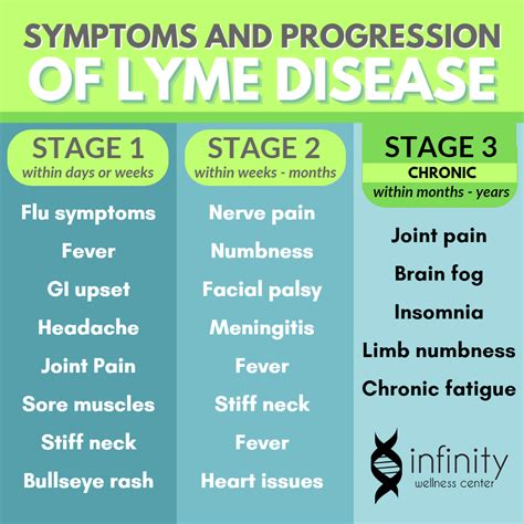 Symptoms And Stages Of Lyme Disease Infinity Wellness Center
