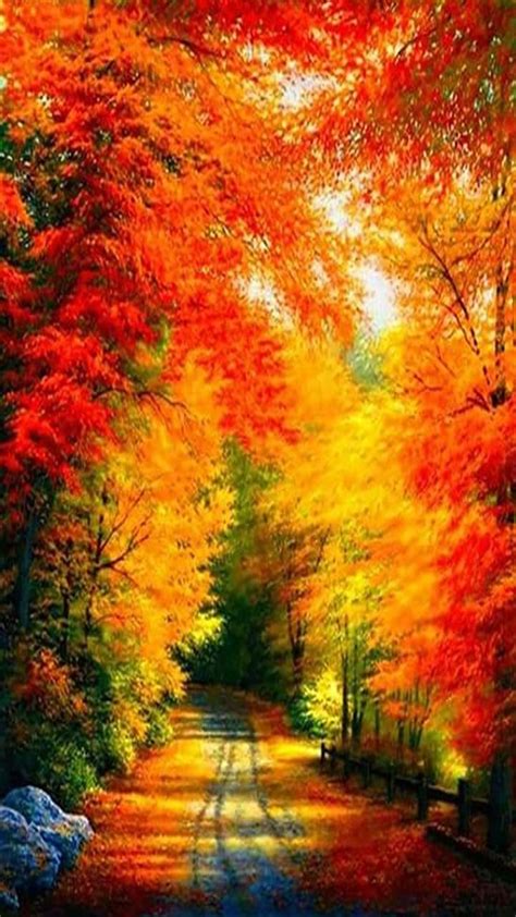 Pretty Fall Colors Autumn Scenery Autumn Scenes Scenery