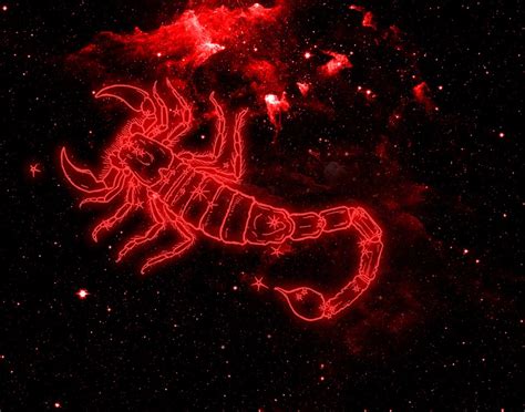 Tarotexpert Rela Iile De Dragoste Ale Scorpionului Cu Celelalte Semne