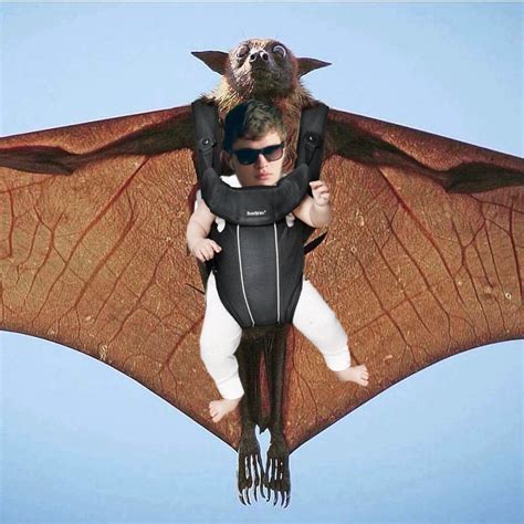 Psbattle Bat Carrying Baby Rphotoshopbattles