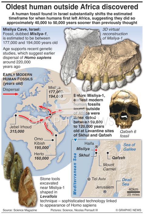 Science Oldest Human Fossil Outside Africa Discovered Infographic