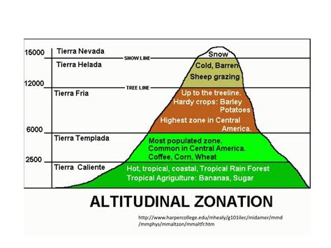 Ppt Altitudinal Zonation Powerpoint Presentation Free Download Id