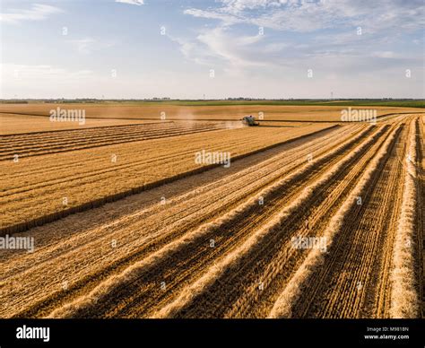 Combine Harvester On A Field Of Wheat Aerial View Stock Photo Alamy
