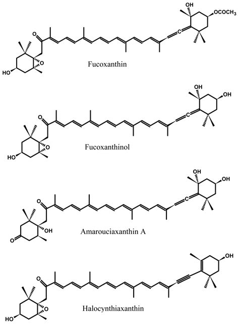 Marine Drugs Free Full Text Fucoxanthin A Marine Carotenoid