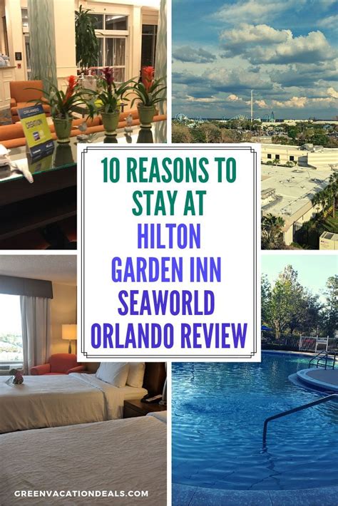 Hilton Garden Inn Seaworld Orlando Review 10 Reasons To Stay Seaworld Orlando Hilton Garden