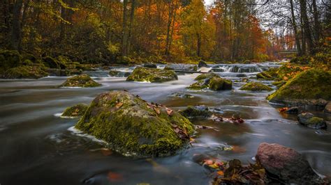 Nature Landscape Autumn Colors Forests Trees River Rocks Green Moss Ultra Hd 4k Computer