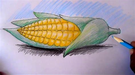 How To Draw Corn Cob Step By Step Youtube