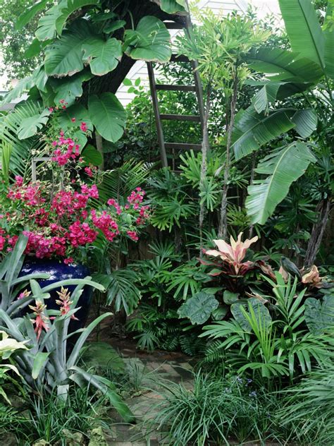Tropical Garden Design | Tropical backyard landscaping, Tropical garden design, Tropical backyard