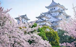 Castle Asian Architecture Cherry Blossom Landscape