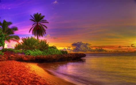Check spelling or type a new query. 39+ Tropical Beach HD Wallpaper on WallpaperSafari