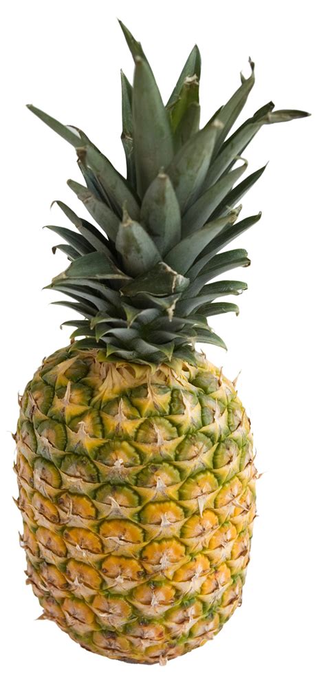 Pineapple Png Image Purepng Free Transparent Cc0 Png Image Library