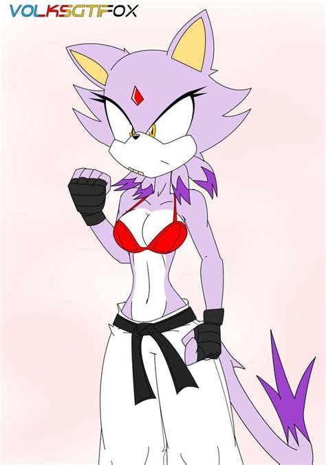 Blaze The Cat Video Game Characters Fictional Characters Sonic Art