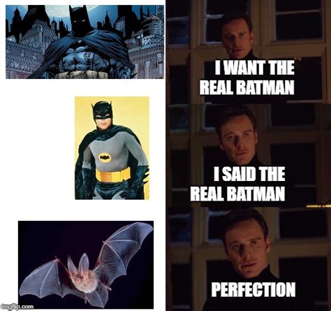 Perfection Meme Template