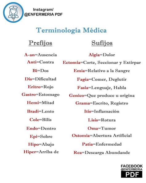 Prefijos Y Sufijos Medicos Pdf Medicina Clinica Anatomia Images