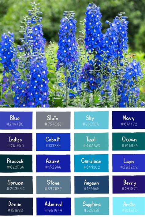 30 Popular Types Of Blue And Violet Flowers For Your Garden