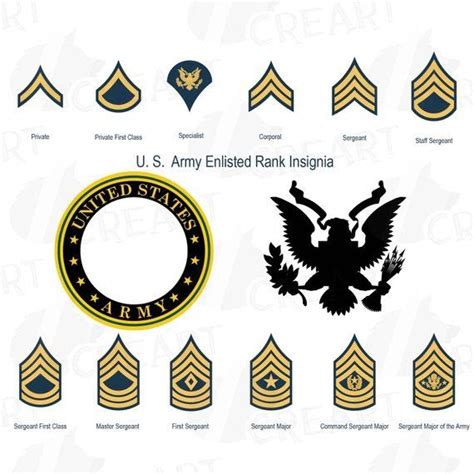 Us Army Rank Insignia 1960 Navy Visual