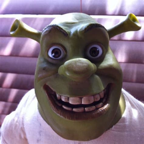 A Handsome Ogre Shrek A Photo On Flickriver