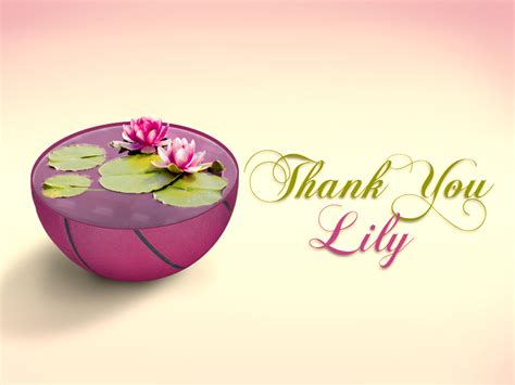 Thank You Lily By Rose Lewis On Dribbble