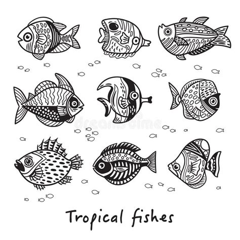 Black And White Set Of Tropical Fishes Vector Illustration Stock