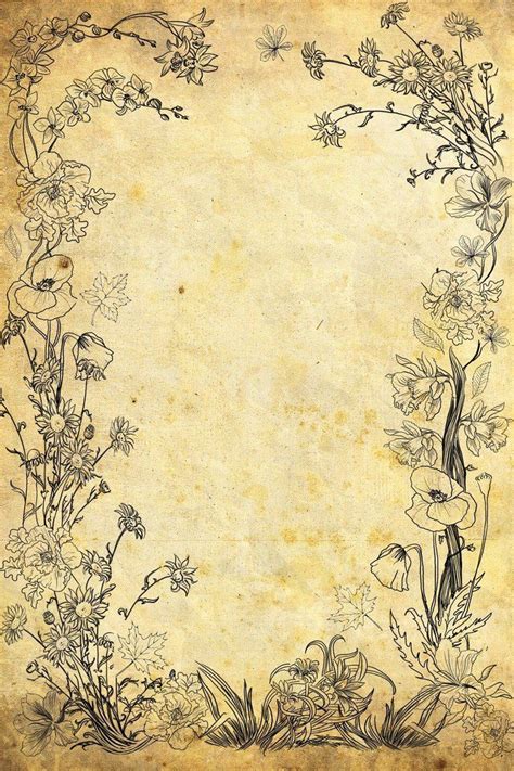 Old Paper Flower Border Molduras Vintage Fundo Vintage Livro Das