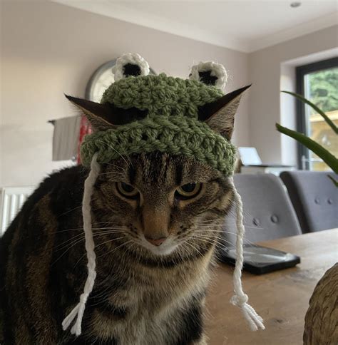 Cute Frog Hat For Cats Etsy