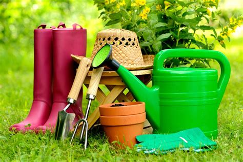 What Garden Tools To Buy First When You Own Your First