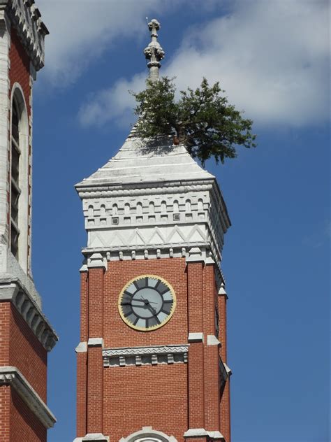 Greensburgs Courthouse Tower Tree