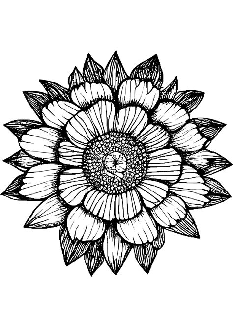 Hand Drawn Flower Black And White Illustration Clip Art · Creative Fabrica