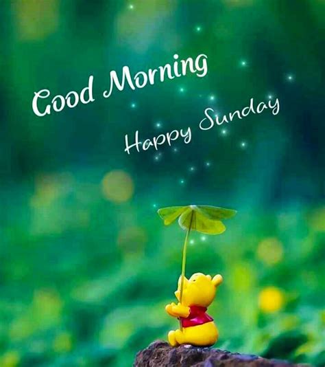 249 Latest Good Morning Happy Sunday Hd Images With