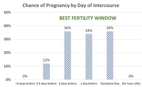 when is your fertility window