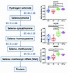 Selenocompounds metabolism pathway. Related enzymes include ...