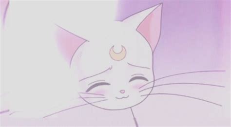 ˗ˏˋ Pin Honeeyjin ˎˊ˗ Sailor Moon Aesthetic 90s Anime Old Anime