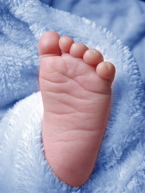 Kleiner Baby Fuß Stockbild Bild Von Zehen Schätzchen 903731