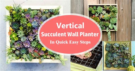 Vertical Succulent Wall Planter In Quick Easy Steps Diy