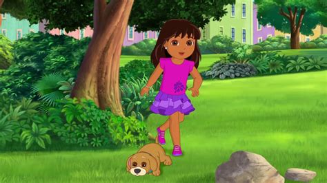 It aired on nickelodeon as part of its weekday morning preschool block. Puppy Princess Rescue | Dora the Explorer Wiki | Fandom