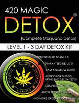 The Best Marijuana Detox