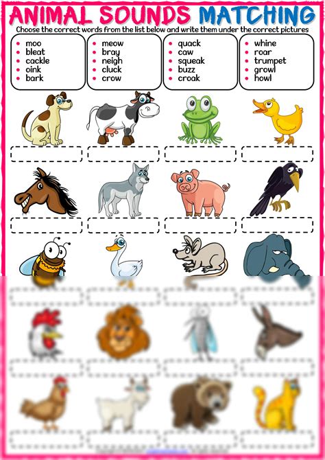 Solution Animal Sounds Vocabulary Esl Matching Exercise Worksheet For