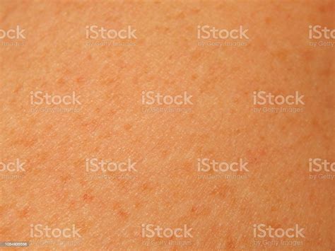 Human Skin Texture In Various Parts Of The Body Stock Photo Download