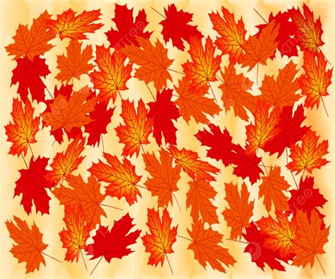 Background Daun Maple Musim Gugur Latar Belakang Merah Musiman September Dedaunan Latar