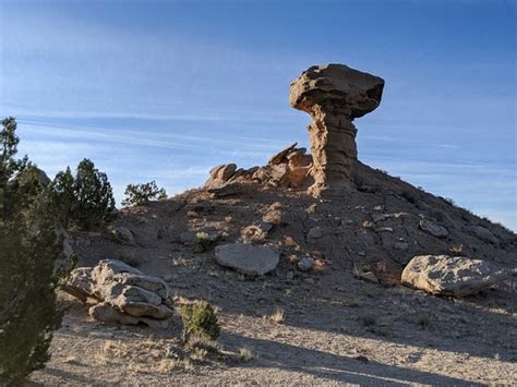 Santa fe, founded in 1607, is the capital of the state of new mexico and its principal tourist destination, renowned for its confluence of scenic beauty, long history (at least by american standards), cultural diversity, and extraordinary concentration of arts, music and fine dining. Camel Rock Monument (Santa Fe) - 2021 All You Need to Know ...