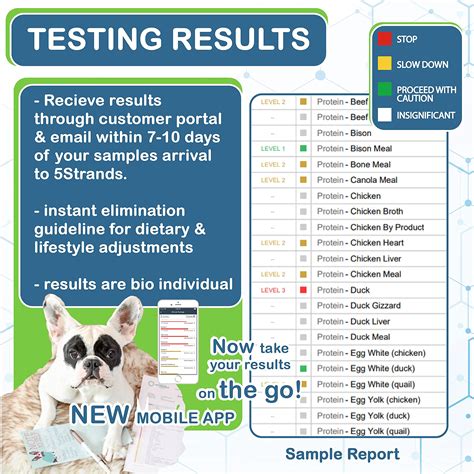 5strands Pet Food And Environmental Intolerance Test At Home Dog Or