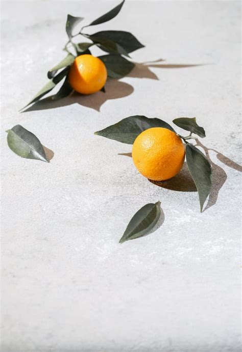 Whole Oranges Witl Orange Tree Leaves On White Background Copy Space